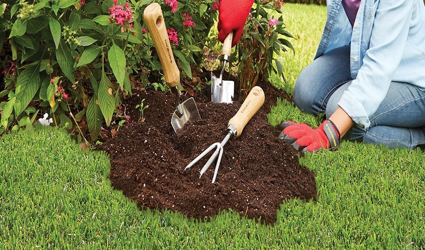 Gardening Tools You Should Have 2