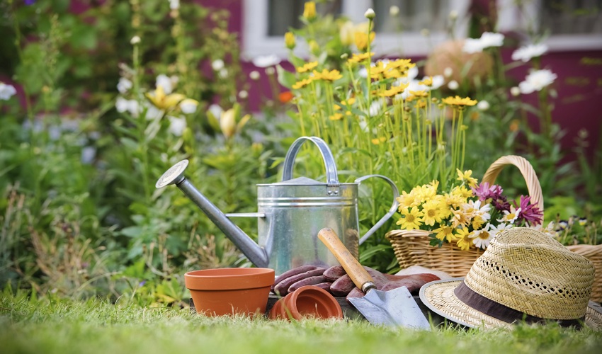 Gardening Tools You Should Have