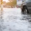 Flash Floods – What They Are and How to Stay Safe
